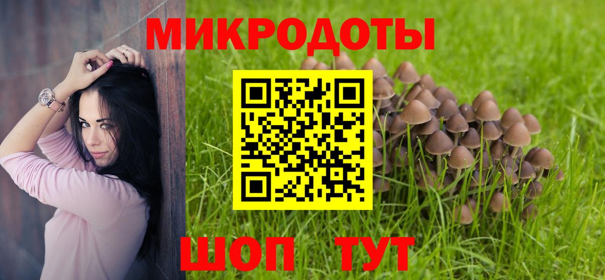 Галлюциногенные грибы Magic Shrooms Канск