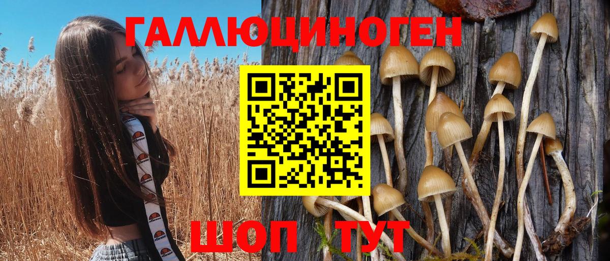 Псилоцибиновые грибы прущие грибы  Вход с VPN  Псилоцибиновые грибы Cubensis  Канск 
